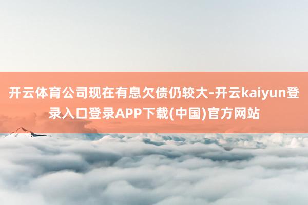 开云体育公司现在有息欠债仍较大-开云kaiyun登录入口登录APP下载(中国)官方网站