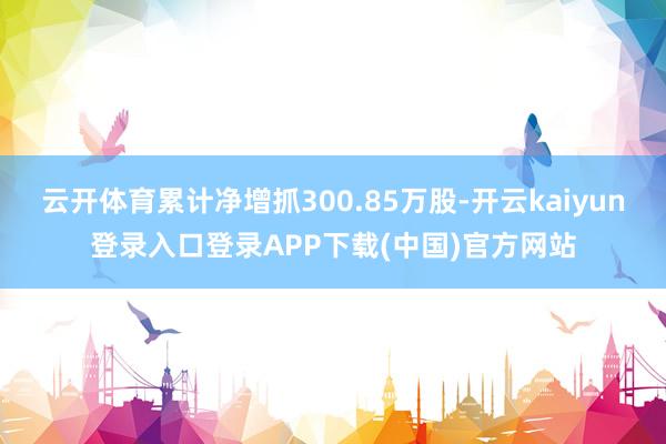 云开体育累计净增抓300.85万股-开云kaiyun登录入口登录APP下载(中国)官方网站