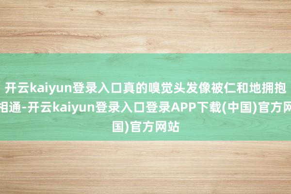 开云kaiyun登录入口真的嗅觉头发像被仁和地拥抱了相通-开云kaiyun登录入口登录APP下载(中国)官方网站