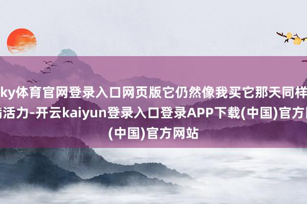 ky体育官网登录入口网页版它仍然像我买它那天同样充满活力-开云kaiyun登录入口登录APP下载(中国)官方网站